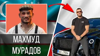 Из ГАСТАРБАЙТЕРА в ЗВЕЗДУ UFC | Биография Махмуда Мурадова