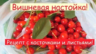 Вишневая настойка. Рецепт. С косточками и листьями. // Олег Карп