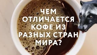 Чем отличается кофе из разных стран мира?