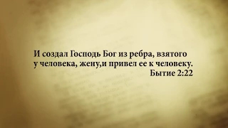 "3 минуты Библии. Стих дня" (24 янв. Бытие 2:22)