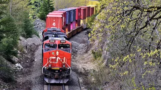 OVERLOAD OF TRAINS Through Sharp Curve Into Mountain Tunnel Along The Fraser River, CANADA