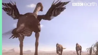 Oviraptorid Defends Her Nest from Predators | Planet Dinosaur | BBC Earth