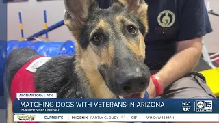 'Soldier's Best Friend': Matching dogs with veterans in Arizona