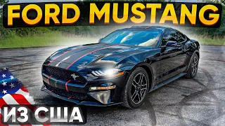 Строптивый Жеребец Ford Mustang из США. Псков.