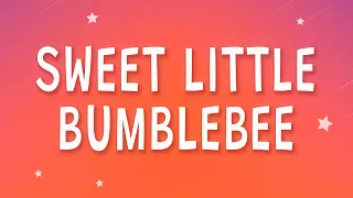 Bambee - Sweet little bumblebee (Bumble Bee) (Sped Up) (Lyrics)