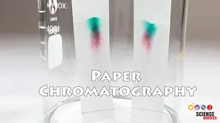 Paper Chromatography | Science Project