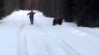 Swedish man scares the living shit out of an attacking bear