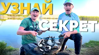 ❗️❗️Вот это КЛЕВ 🤯 Подобрали КЛЮЧ к рыбе ✅ КАК поймать трофей❗️ Рыбалка на Десне❗️ Фидер 2024