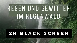 Regengeräusche Black Screen zum Einschlafen | Regen und Gewitter im Regenwald | 2 Stunden