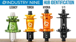 Hub identification: Hydra vs 1/1 vs Torch vs Legacy