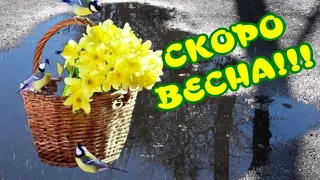 СКОРО ВЕСНА..УРА!!!🌷🌷🌷Очень красивая музыка🎶Музыкальный клип для друзей