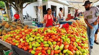 CARNE DE R$ 15,00 SÓ EM CACHOEIRINHA-PE. BAIXOU GERAL BRASIL!!!