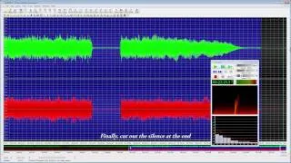 Ripping Vinyl Records With GoldWave Audio Editor