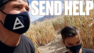 FATHER AND SON GET LOST IN A CORN MAZE AND ARE FORCED TO CALL FOR HELP