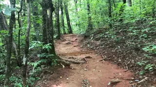 Video of Black Rock Mountain State Park Fern Cove Backcountry Campsite, GA from Crystal C.