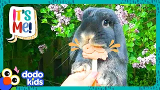 Speedy Rabbit Zooms, Booms, And SOARS! | Dodo Kids | It’s Me!