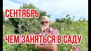 Садовые работы в сентябре ПЕРЕЗАЛИВ / Игорь Билевич