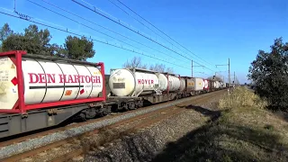Trains TER FRET HLP et W à TARASCON Vidéo Commenté