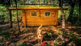 First Hot Sauna in the Forest | Off Grid Log Cabin Life