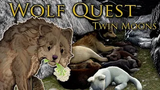 A LOST Wolf Pup Wanders Away?! 🐺 WOLF QUEST: TWIN MOONS • #23
