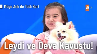 Ömür Deva'nın Sultangazi'den kaybolan Leydi'si bulundu! - Müge Anlı ile Tatlı Sert 22 Mart 20