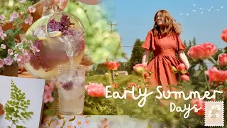 Early Summer Days🌞🍋💐 Making Lilac Lemonade, DIY Floral Perfume & Pressing Flowers ft. Son de Flor