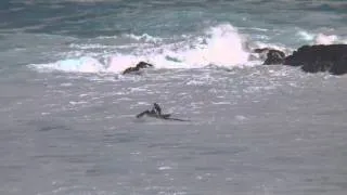 Skullbase Water Safety Rescue @ Peahi Jaws Maui