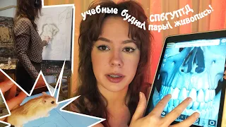 НОВЫЙ семестр, анатомия, живопись, общажечка СПбГУПТД