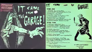 It Came From The Garage - Various Artists (full recording) Michigan Alternative