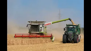 Getreideernte 2022/ Claas Lexion 760/ Fendt 930 Vario Gen6