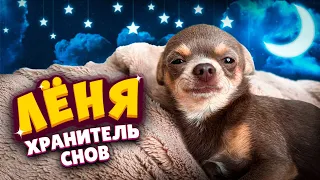 Лёня - хранитель снов