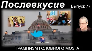 ТРАМПИЗМ ГОЛОВНОГО МОЗГА. Послевкусие - 77.