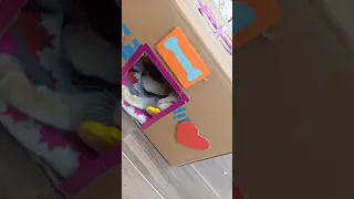 I made DIY card board cat house 🏠 see how my cat is happy 😊