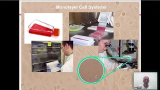 Introduction to Non-whole Animal Test Methods