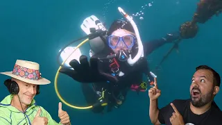 Divers React to Terrifying Wreck Experience