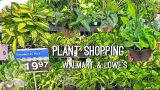 Exciting Plant Haul! Plant Shopping at Walmart & Lowes!