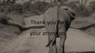 Abnormal repetitive behaviour in elephants