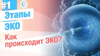 ⭐ Как происходит ЭКО? Этапы процедуры ЭКО и ИКСИ