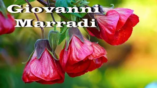 ♫ Джованни Марради -  Лучшее ♫ Giovanni Marradi -  The best ♫ (Beautiful flowers)