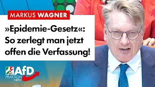 Epidemie-Gesetz: Hier wird offen die Verfassung demontiert! –  Markus Wagner (AfD)