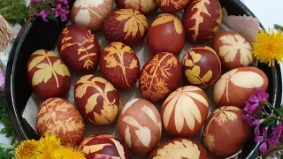 Dyeing eggs in the onion skin - natural and healthy