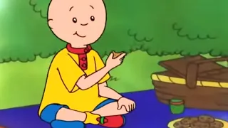 Caillou and the Picnic | Caillou Cartoon