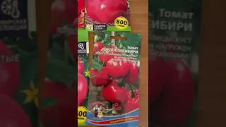 Какие сорта  помидор посадить в 2023г