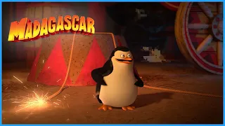 The funniest penguin | DreamWorks Madagascar