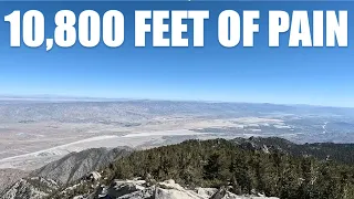 Cactus to Clouds - The Most Grueling Day Hike EVER - 10,800' AEG