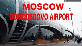 【Airport Tour】 MOSCOW Domodedovo Airport  Check in area