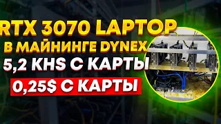 Майнинг ферма на RTX 3070m Laptop в майнинге Dynex. Настройка, доходность, окупаемость, прибыль