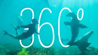 Port Lincoln, South Australia, Australia | 360 Video | Tourism Australia