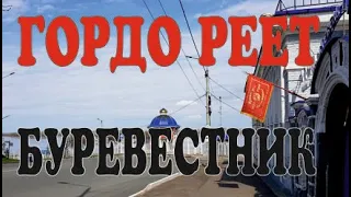 Революция/Эволюция