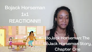 Bojack Horseman- 1x1 BoJack Horseman: The BoJack Horseman Story, Chapter One- REACTIONN!!!